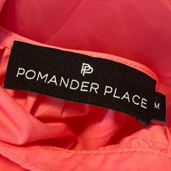 Pomander Place Tuckernuck Tinsley Top Tulle Sheer Puff Sleeve Pink Babydoll Med - Picture 8 of 10